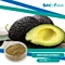 Avocado Extract